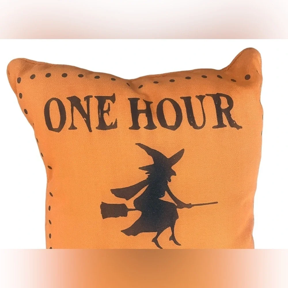 Halloween witch pillow 16”x12”